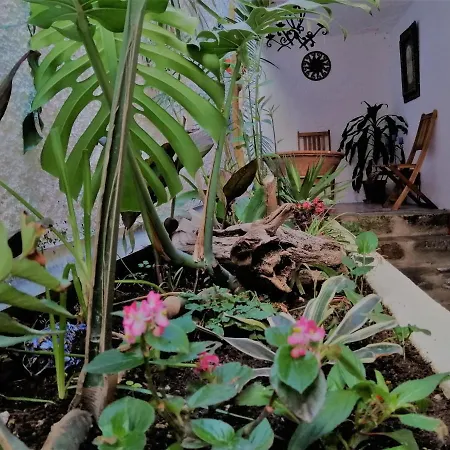 Bayview House Angra do Heroísmo