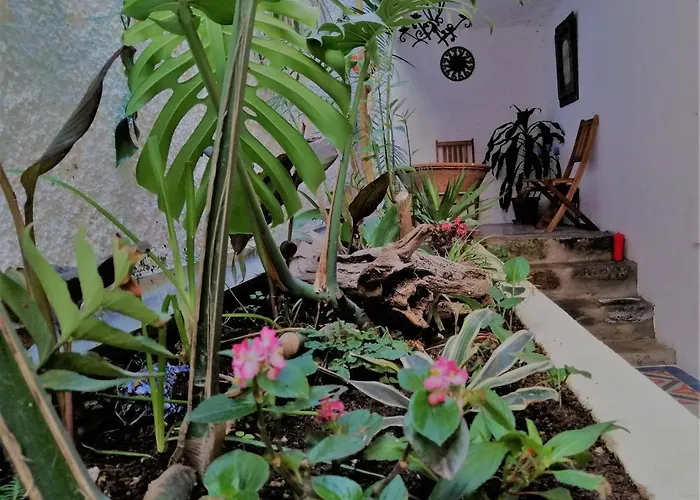 Bayview House 英雄港